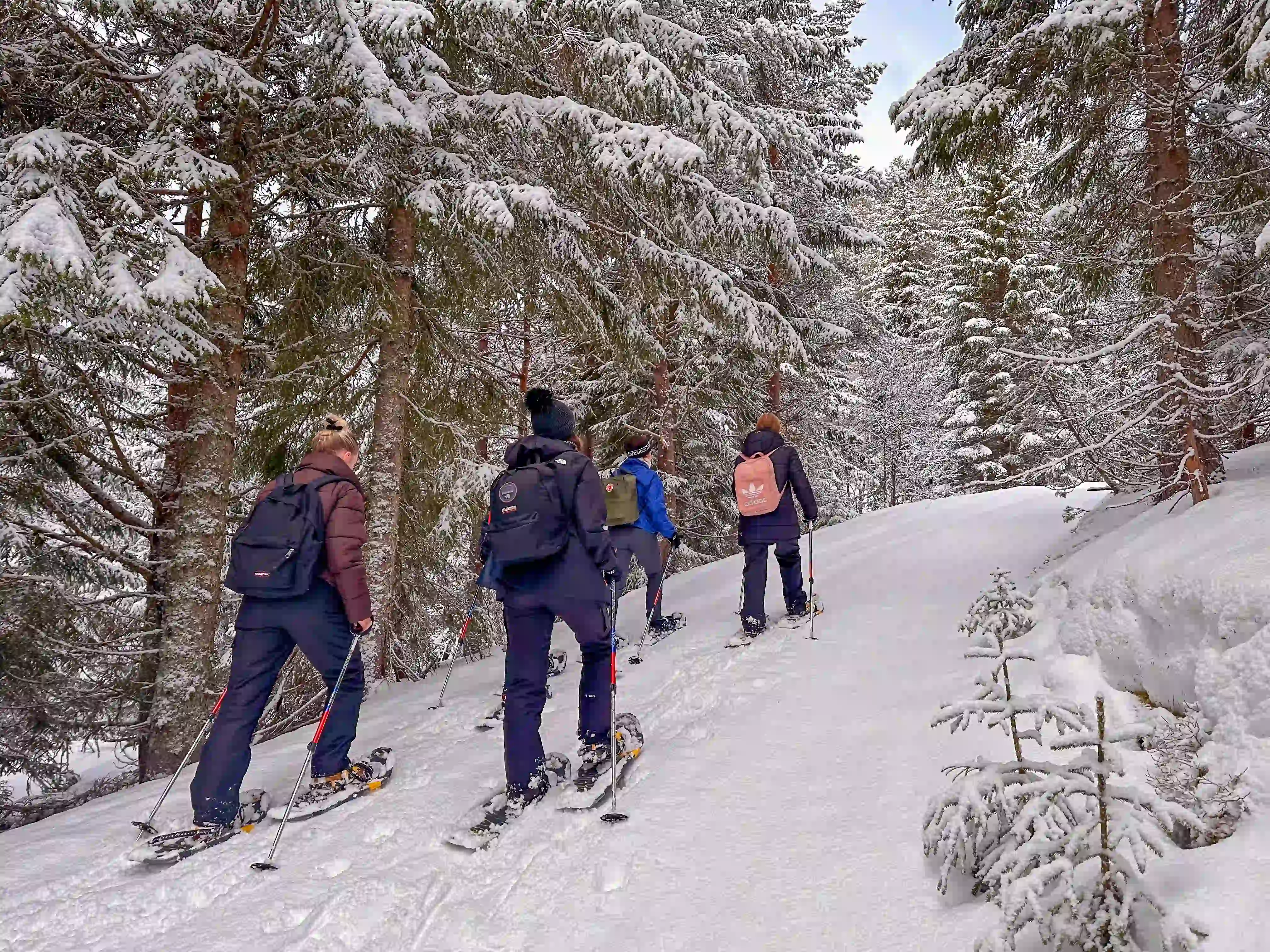 2023-SNOWSHOES-02